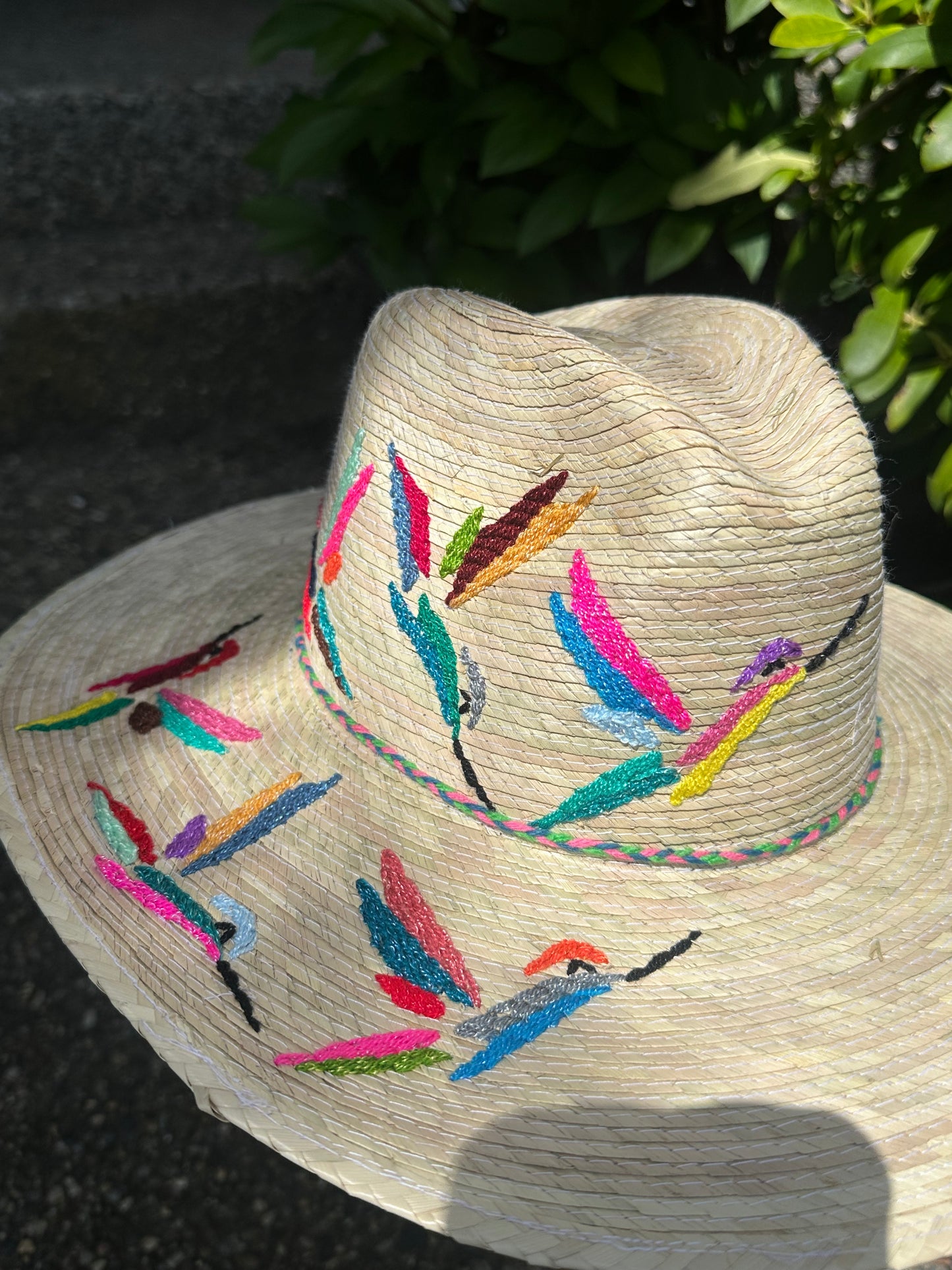 Hummingbird hat